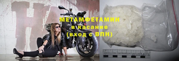 прущие грибы Инта