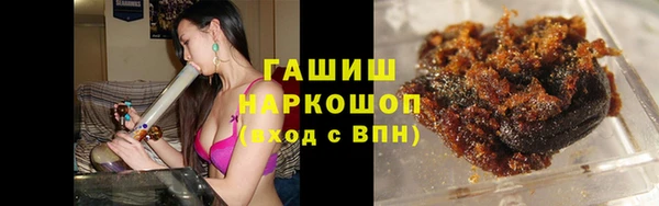 прущие грибы Инта