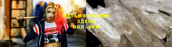 прущие грибы Инта