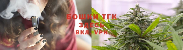 прущие грибы Инта