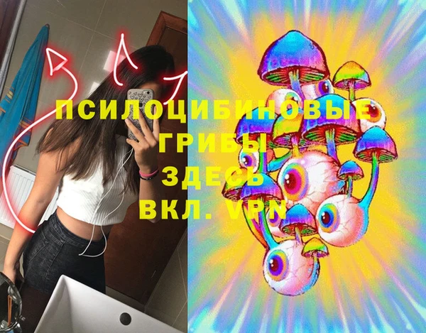 прущие грибы Инта