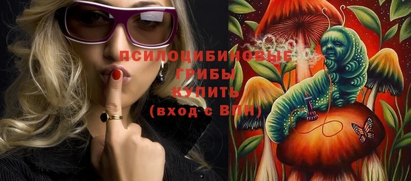 прущие грибы Инта