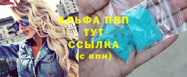 прущие грибы Инта