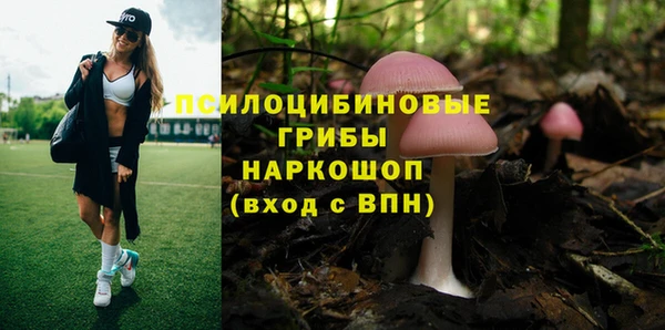 2c-b Иннополис