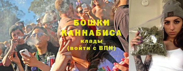 прущие грибы Инта