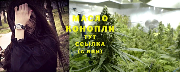 прущие грибы Инта