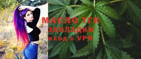 прущие грибы Инта