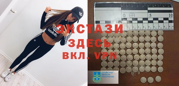 прущие грибы Инта